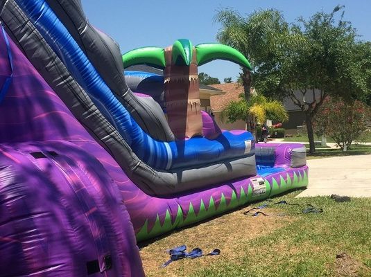 Impresión digital Palma púrpura tobogán de agua inflable comercial para adultos y niños