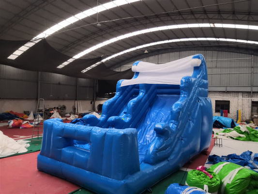 Deslizamientos húmedos inflables comerciales con piscina y soplador de aire Castillo de guardaespaldas amigable para niños