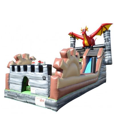 Deslizador de salto inflable al aire libre con piscina e impresor