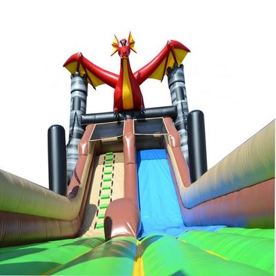 Deslizador de salto inflable al aire libre con piscina e impresor