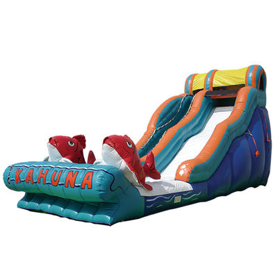 Oportunidades comerciales tobogán de agua de salto inflable con piscina 2 tobogán de carpas