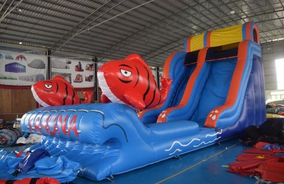Oportunidades comerciales tobogán de agua de salto inflable con piscina 2 tobogán de carpas
