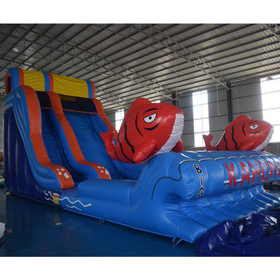Oportunidades comerciales tobogán de agua de salto inflable con piscina 2 tobogán de carpas
