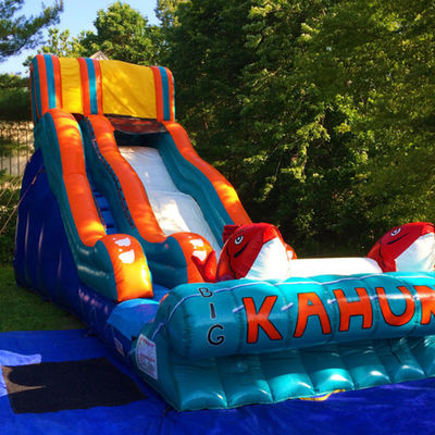 Oportunidades comerciales tobogán de agua de salto inflable con piscina 2 tobogán de carpas
