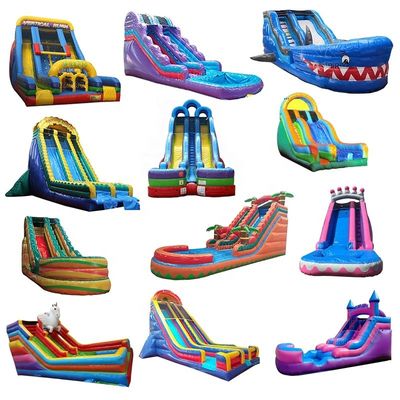 Salto de agua del castillo de Bouncy Crocodile Creek Piscina de agua inflable y salto en toboganes Castillo