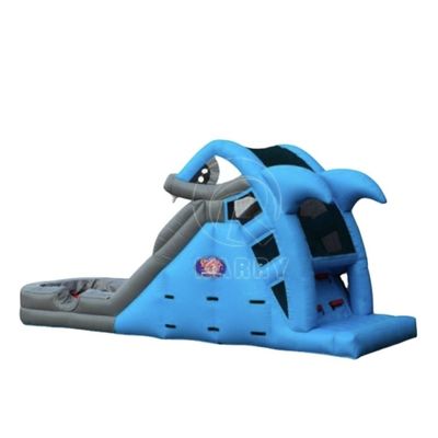 Impresión personalizada Deslizador de agua inflable Capacidad máxima 100-500 kg para patio de recreo para niños