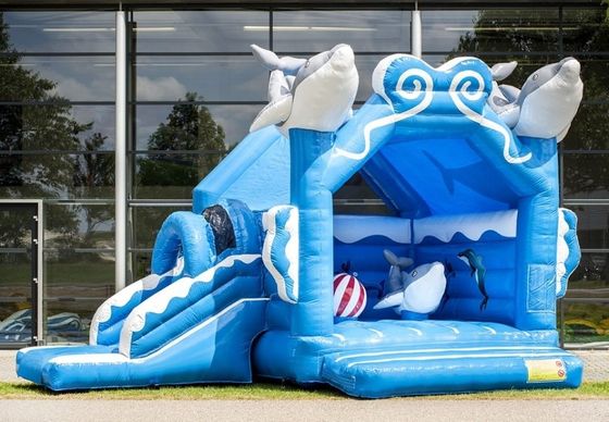 Castillo desde hace 14 años Popular Arco iris unicornio al aire libre Castillo de salto con combinación de diapositivas