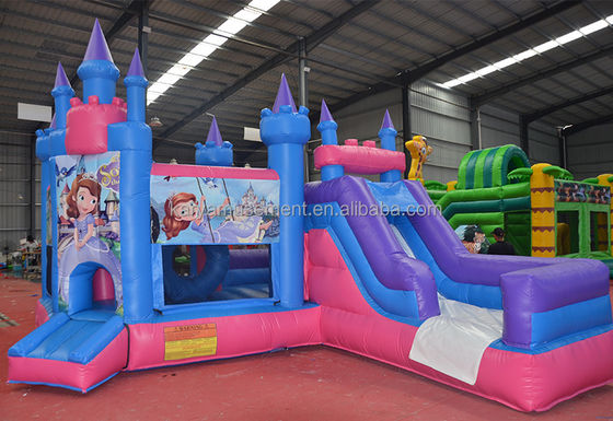 14 Años de venta Commercial Inflable Casa de rebote congelada con combinación de diapositivas OEM aceptado