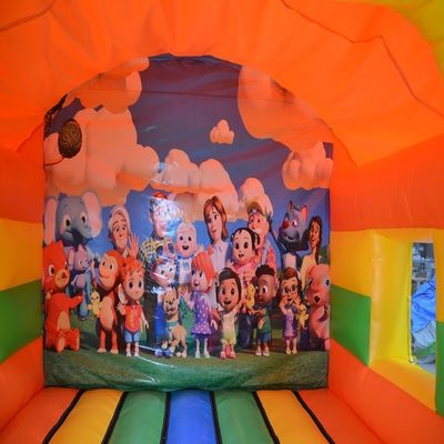 Fiesta de entretenimiento al aire libre Casa de salto inflable Combo de saltidores con color personalizado