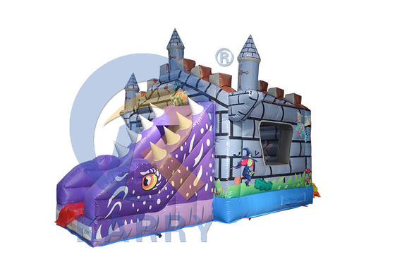 Características PORTABLE Niños Jumper seco inflable Castillo de salto con tobogán y camaleón