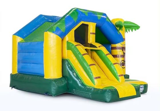 Carry Casa de salto inflable personalizada con tobogán de grado comercial y amigable con el presupuesto