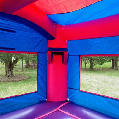 Jardín de juegos al aire libre Inflable Castillo de salto congelado con tobogán de grado comercial Durable