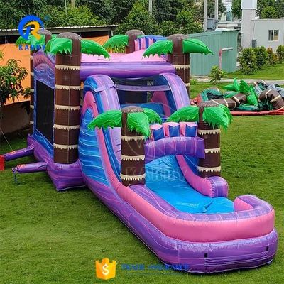 Casa de salto de color de palma personalizada Castillo de salto con piscina de toboganes