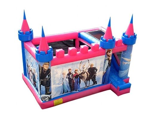 El deslizamiento de castillo inflable de sexo neutro perfecto para alquiler de fiestas comerciales