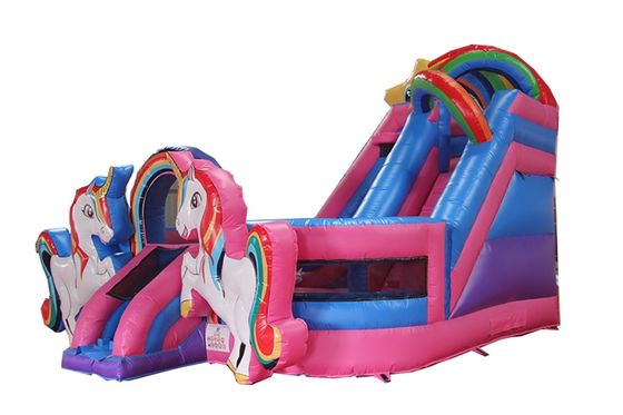 El deslizamiento de castillo inflable de sexo neutro perfecto para alquiler de fiestas comerciales