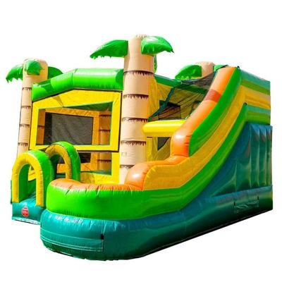 14 Años de Edad Rango Inflable Casa de salto con tobogán y palma