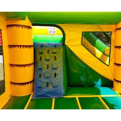 14 Años de Edad Rango Inflable Casa de salto con tobogán y palma