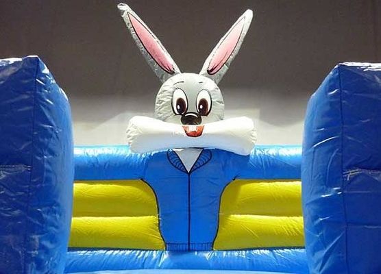 Cute and Funny Commercial Bouncy House Rango de edad 14 años de edad Género Unisexo Diseño divertido
