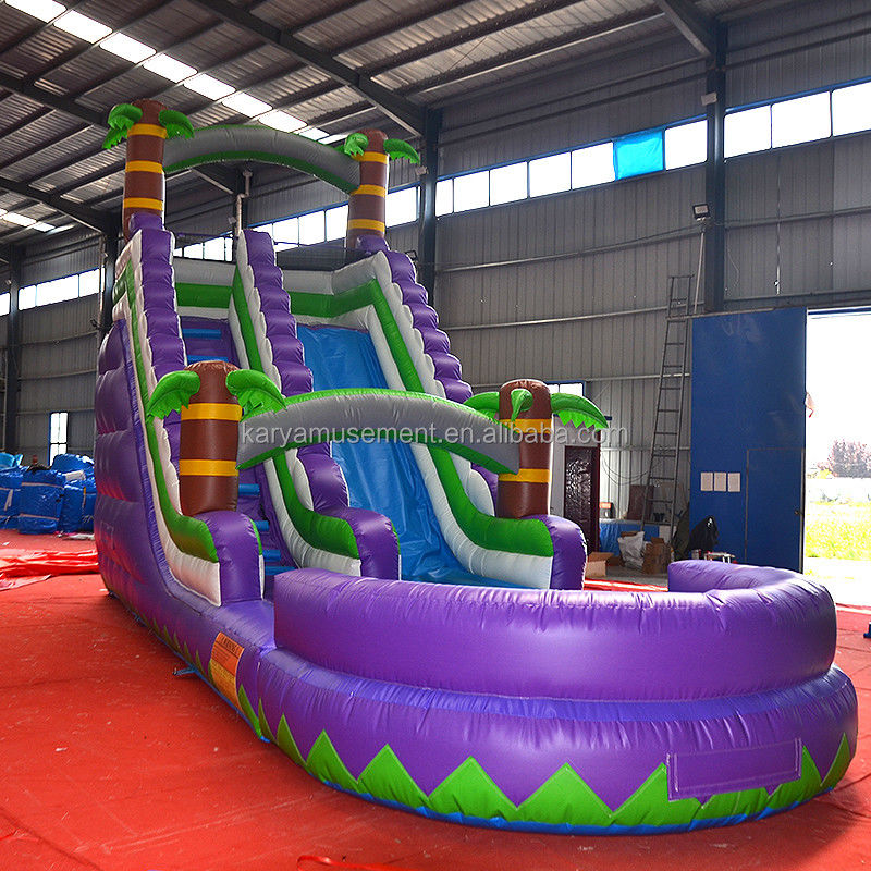 Capacidad de pasajeros de 5 a 10 pasajeros 29 pies tobogán de agua inflable con piscina CE/EN71/EN14960 Aprobado