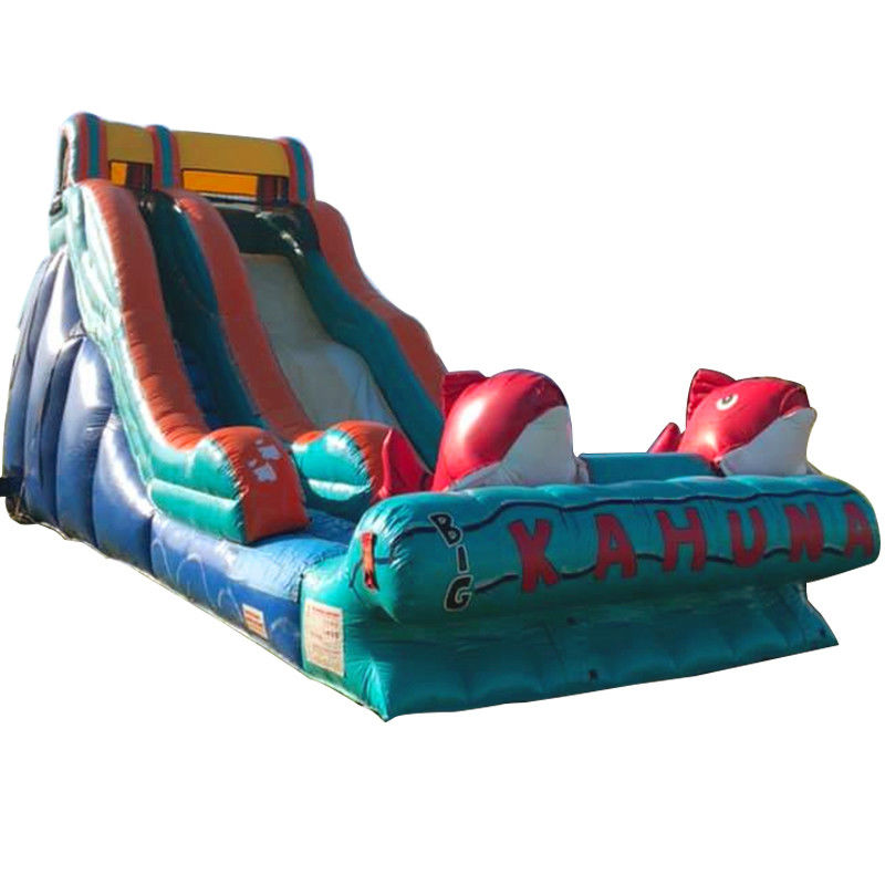 0.55mm PVC Tarpaulin Temática de Carpa Roja Deslizador de agua inflable con deslizamiento ancho y deslizador