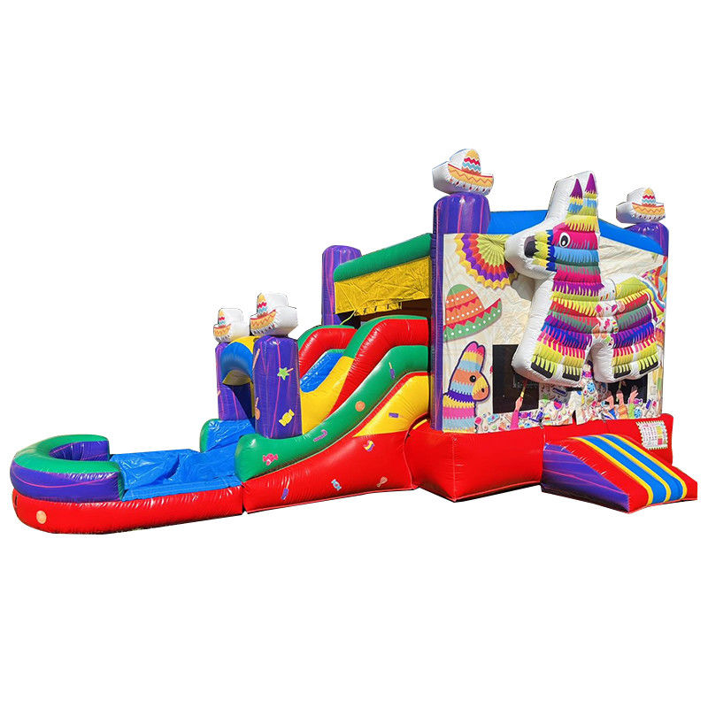 Portable PVC Rainbow Puppy Inflable Casa de rebote con deslizamiento Combo Pool Jumpers Castillo
